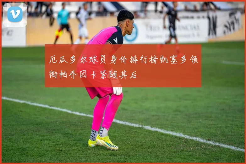厄瓜多尔球员身价排行榜凯塞多领衔帕乔因卡紧随其后