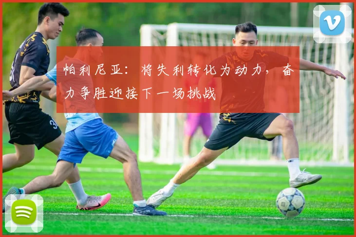 帕利尼亚：将失利转化为动力，奋力争胜迎接下一场挑战
